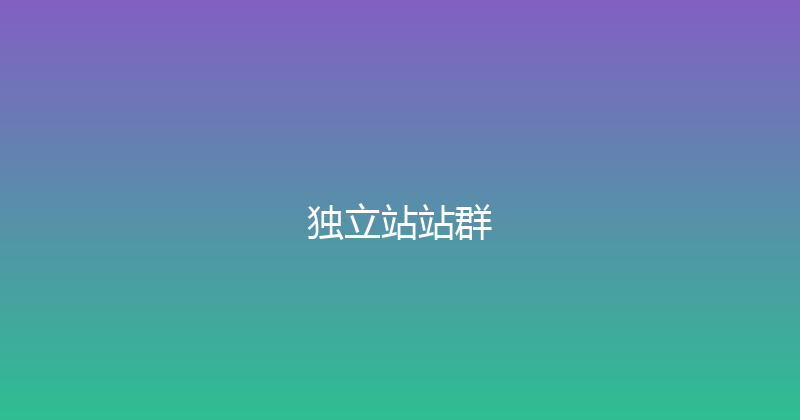 独立站站群 封面图