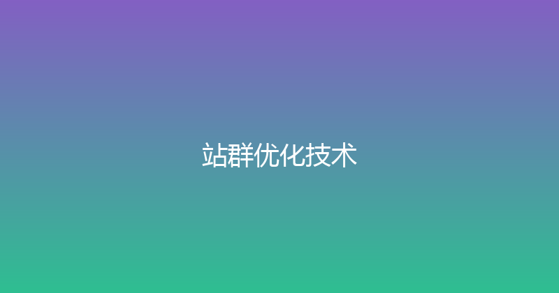 站群优化技术 封面图