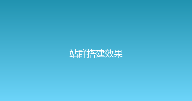 站群搭建效果 封面图