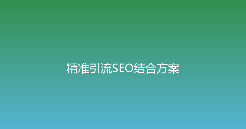 精准引流SEO结合方案 封面图