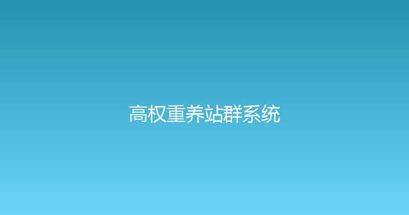 高权重养站群系统 封面图